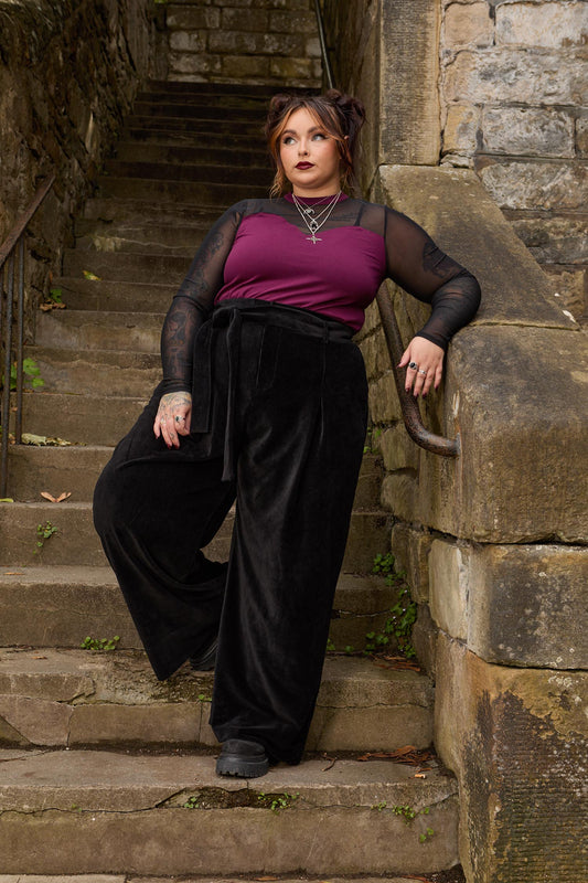 Florence Mesh Sleeve Top  - Cherry